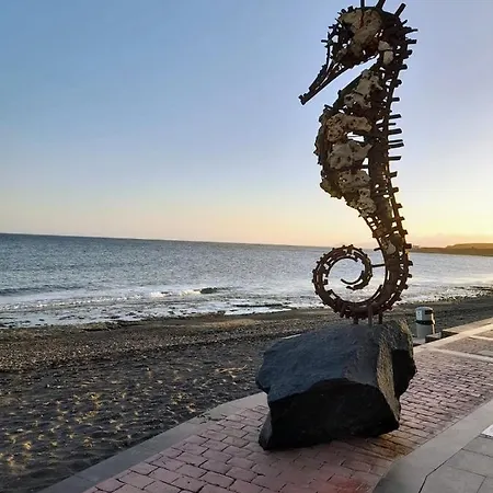 Apartamento Casa De Cactus *