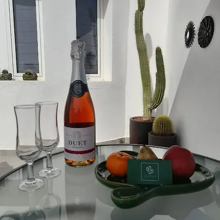 Casa De Cactus 塔拉哈勒赫